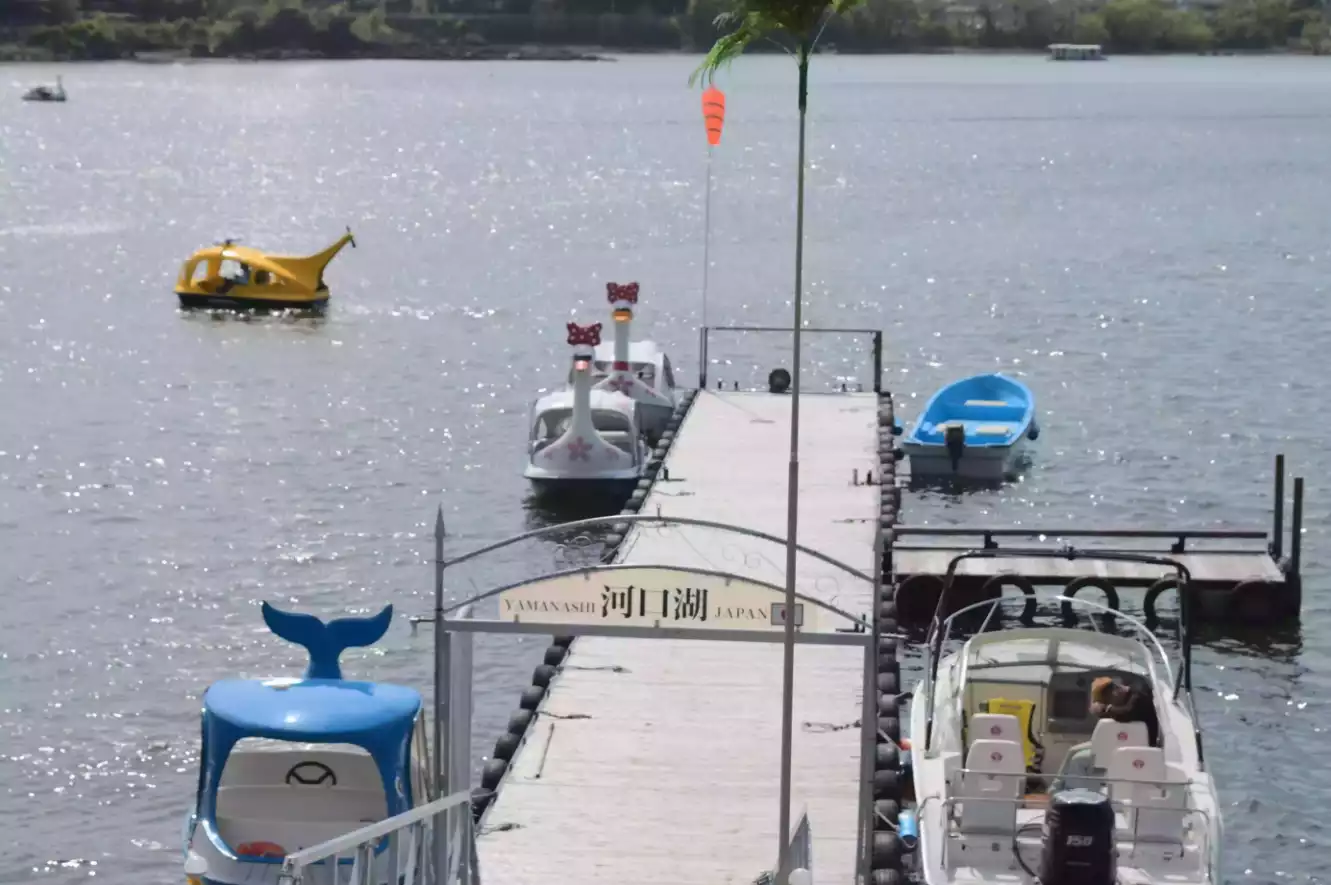 Cover Image of the Post